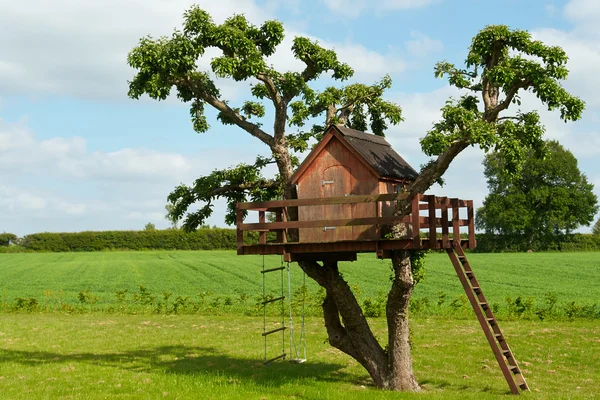 beautiful tree house