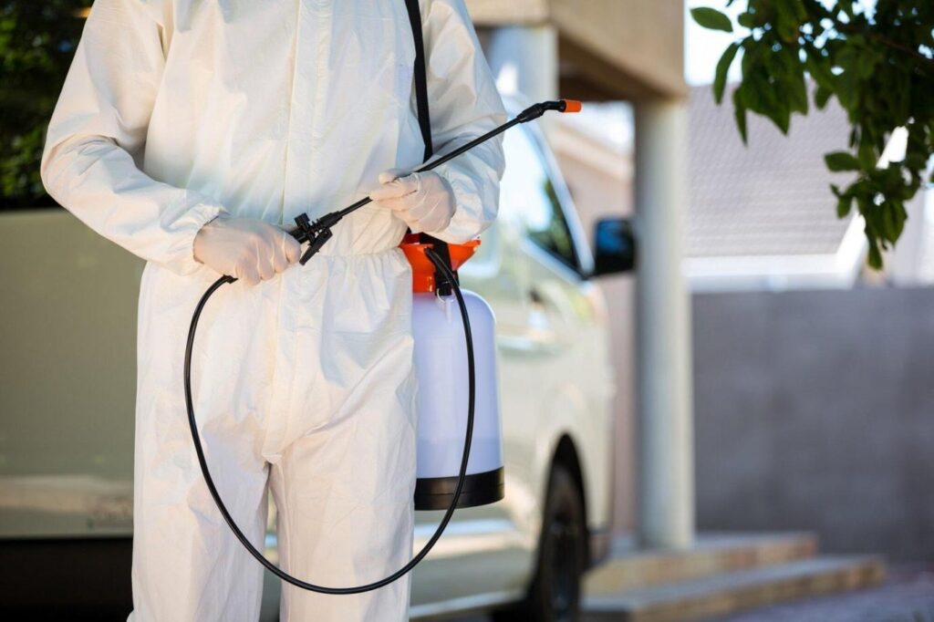 Eco-Friendly Pest Control Can Improve Your Home Environment