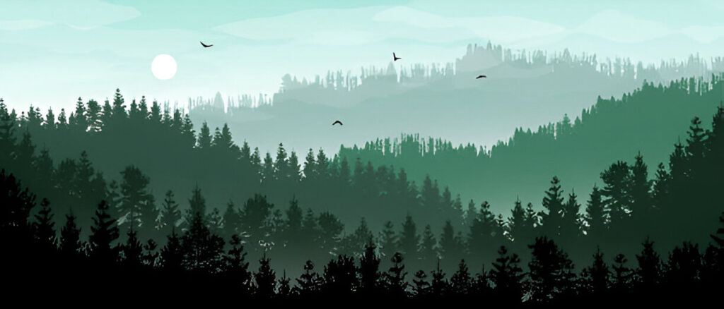 Foggy Forest 4 Green Wall Mural